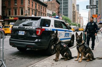 Police German Shepherd names logo